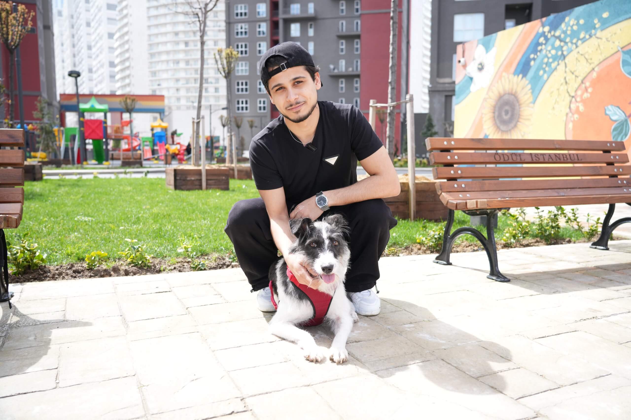 Sevginin iyileştirici gücü: Alpha